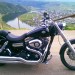 Panoramastrae oberhalb von Piesport an der Mosel